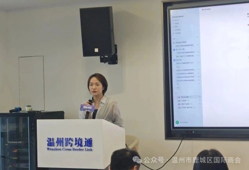 AI赋能破局，智赢外贸出海！这场政企...